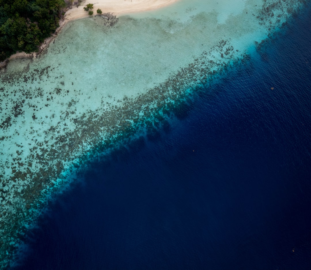 Aerial view of secluded beach with turquoise water perfect for plus size bikini confidence