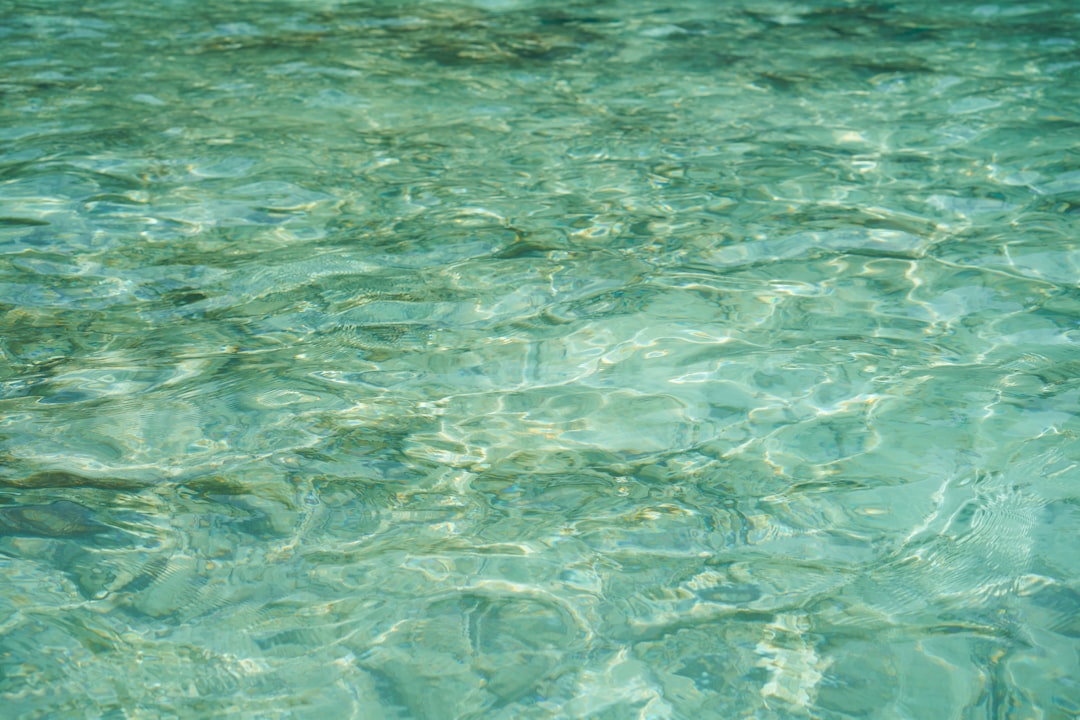 green pool surface