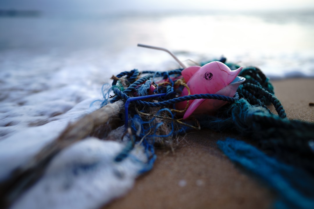 Picture taken at Mirissa Harbour on May 30th. In addition to the usual plastic trash on that beach now there a millions of li