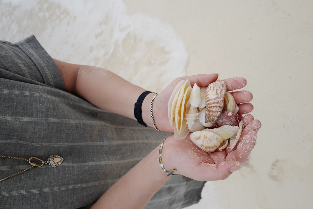 Seashells on the beach in Mexico City