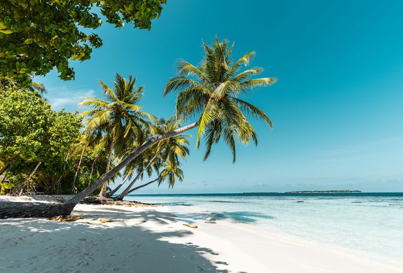 Tropical beach with palm trees, an ideal setting for a three-piece swimsuit