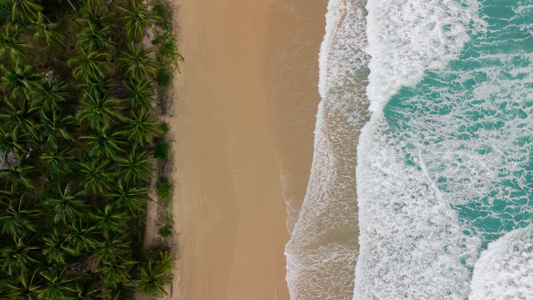 The beautiful Nacpan Beach on Palawan (Philippines) from above and without people.