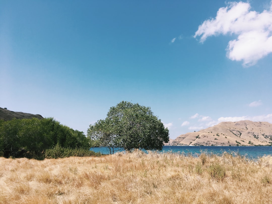 Gili Lawa Darat Island, Flores.