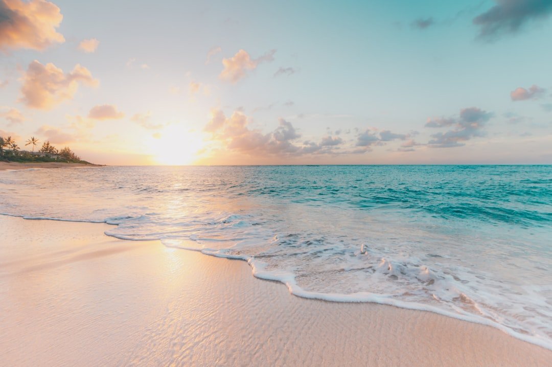 Clean ocean beach at golden hour — the environment sustainable swimwear helps protect