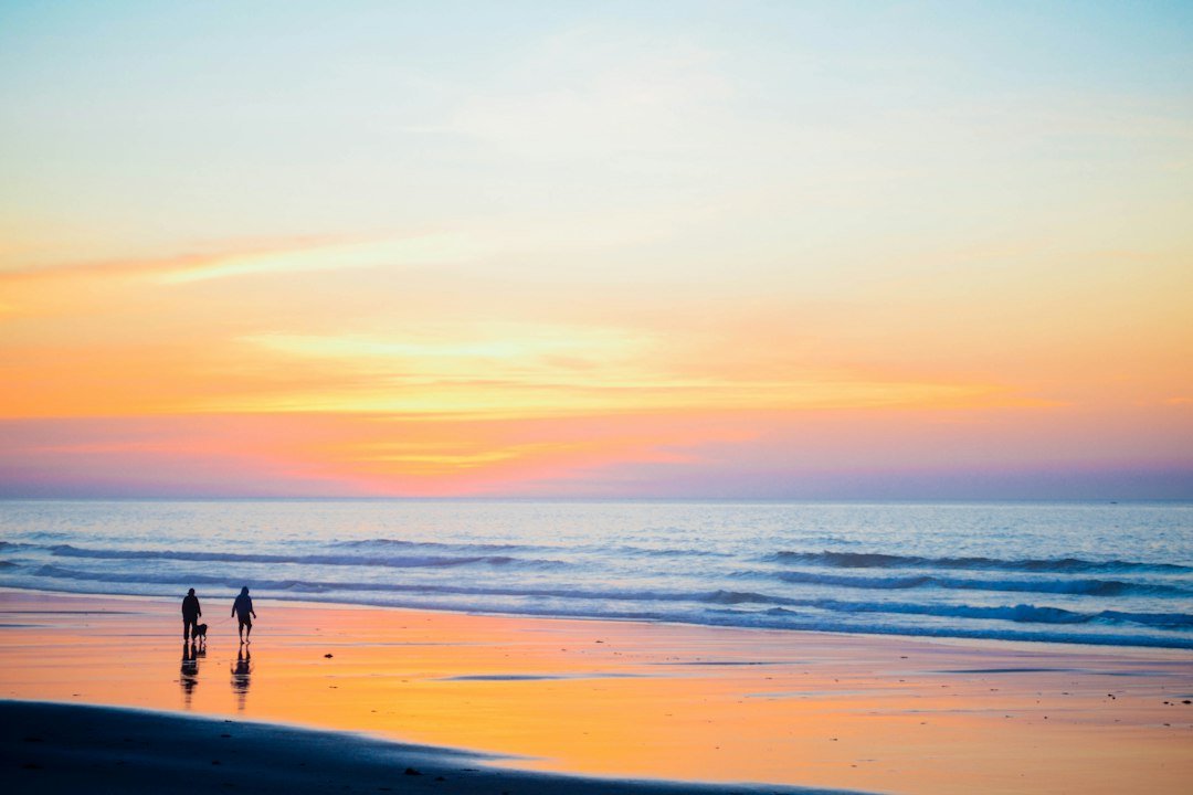 Family watching beach sunset