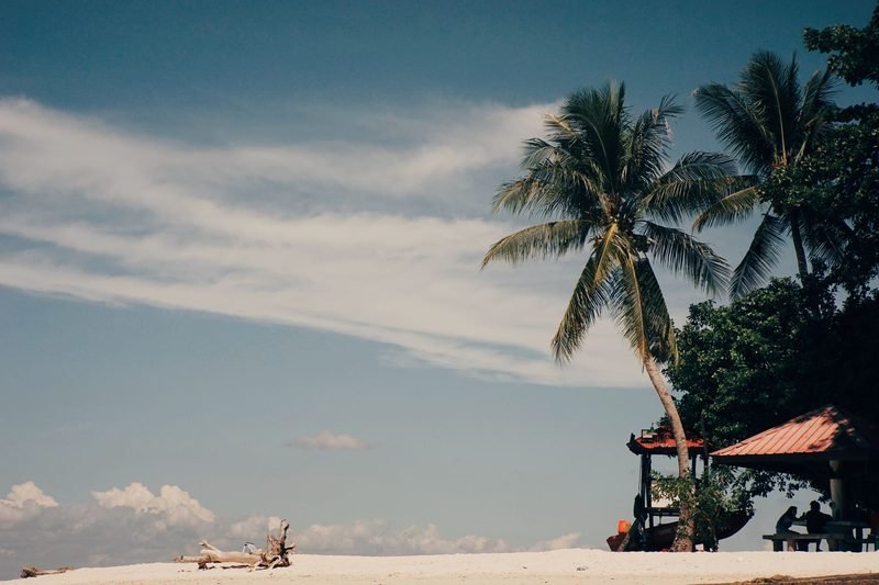 Tropical beach vacation styled with swimwear subscription box picks