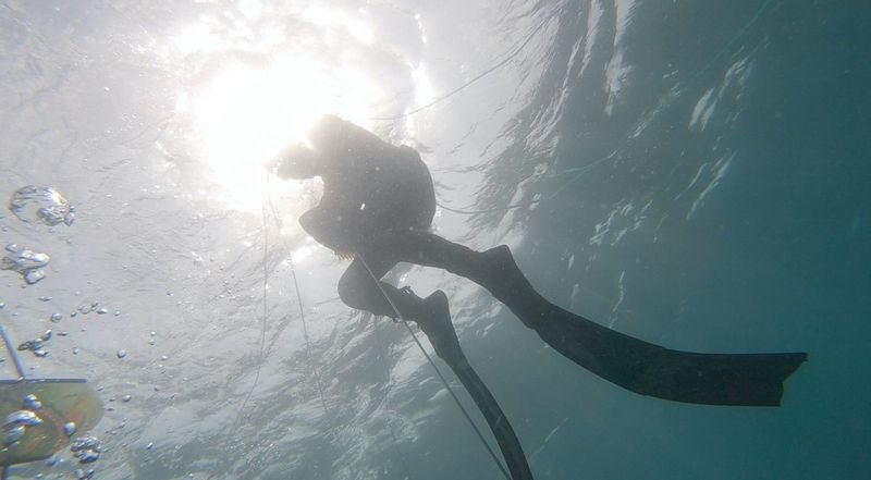 freediver descending with weight belt and fins worn over secure swimwear