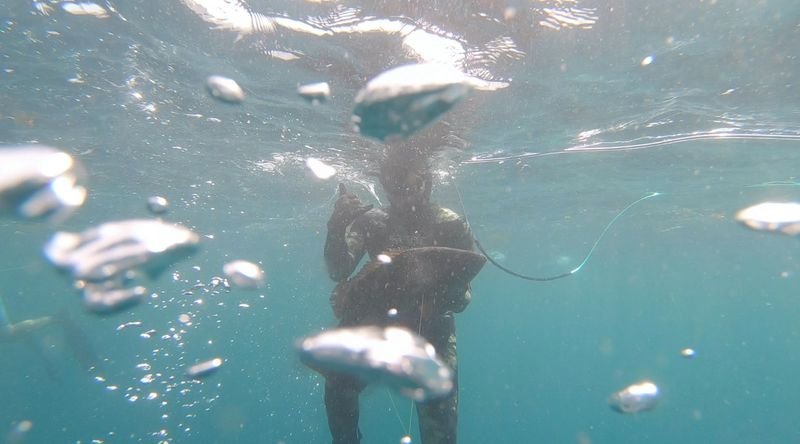 freediver wearing a camouflage wetsuit over swimwear in cold open water